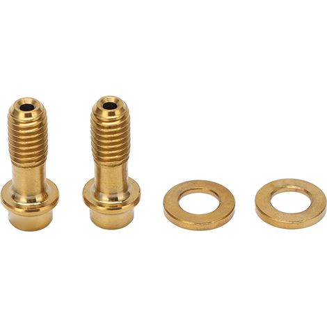 RISK Befestigungsschrauben-Set aus Titanlegierung (4 Stück/Box) für Sram Scheibenbremsen, Upgrade-Zubehör für Rennräder, RT121 Gold (4 Stück/Box) (1/5)
