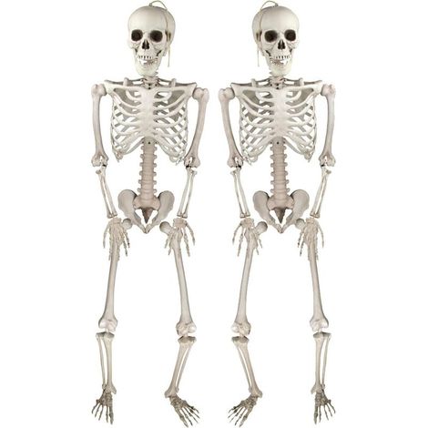Deco Halloween Squelettes Réalistes d'Posable pour Intérieure et Extérieure, Accessoires Fête Halloween -2PCS- (1/5)