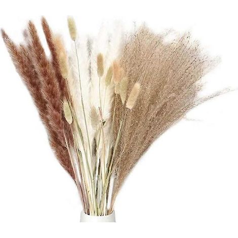 Herbe de Pampa séchée naturelle, 40 pièces, 18 pouces, plantes, Bouquet de fleurs, décor pour Vase d'herbe de Pampa, style bohème, pour la maison (1/5)