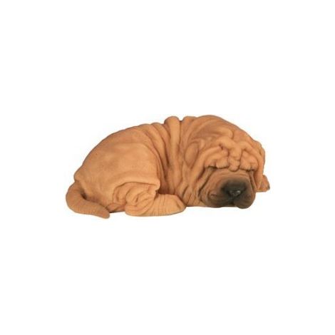 Shar Pei bébé dormant