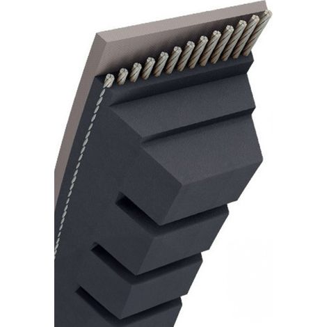 Courroie tondeuse AX78 trapézoïdale crantée  13 x 2031 mm