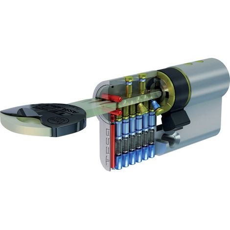 Cylindre haute sécurité TESA TX85 30x30 LT R13 came courte