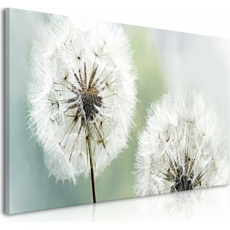 Tableau pissenlits moelleux verts larges - 100 x 45 cm (1/4)