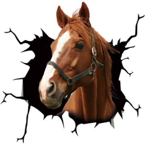 Stickers muraux animaux, stickers tête de cheval, stickers électrostatiques créatifs pour vitres de voiture. (1/5)