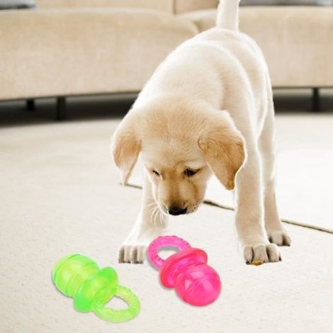 Jouet molaire pour chien, tétine pour animaux de compagnie, jouets pour animaux de compagnie, 2 pièces pour chien chat animal (1/3)