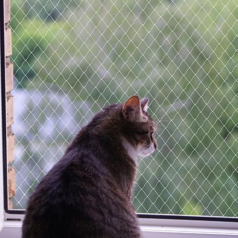 Filet pour chat, filet en nylon, sans perçage, transparent, résistant aux coupures et aux morsures, protège terrasse, fenêtres et portes (3 x 4 m) (1/5)