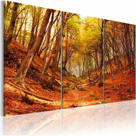 Tableau canyon d'automne - 120 x 80 cm (1/3)