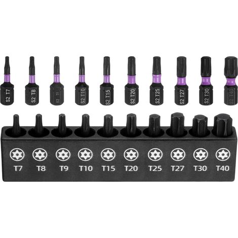 10pcs Jeu d'embouts de tournevis Torx en acier S2 avec support (1/5)