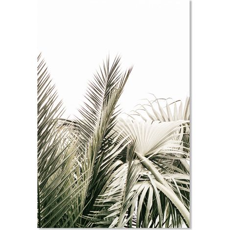 Affiche Palmier canaria - 40x60cm - made in France