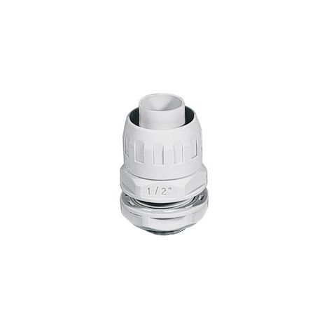 Raccordo Ip65 Guaina-Scatola Filetto P.Gas D.10 (Elettrocanali Cod. Ecgx10)