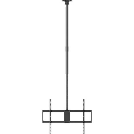 Reflecta PALLAS 100-8060T Support TV pour plafond 127,0 cm (50) - 254,0 cm (100) inclinable, mobile, réglable en haut (1/4)