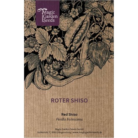 Shiso rouge (Perilla frutescens) env. 200 semences (1/5)