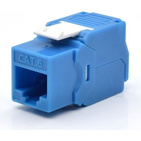 WP WPC-KEY-6UP-TL/B Keystone-Modul