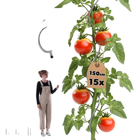 Soporte espiral para plantas, 150 cm de altura, fabricado en aluminio de alta calidad, paquete de 15 unidades, ligero, ideal para plantas trepadoras. (1/5)