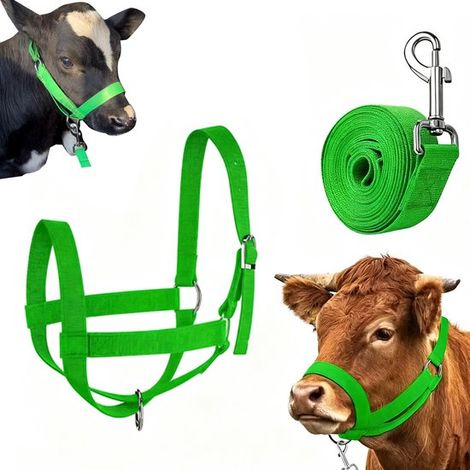 Bride pour taureau - Corde de tête - Rênes pour bétail - Cordes renforcées pour bovins et chevaux - Rênes réglables pour veaux - Matériel de dressage pour bétail - Vert - Taille M - Avec sangle - Conv (1/5)