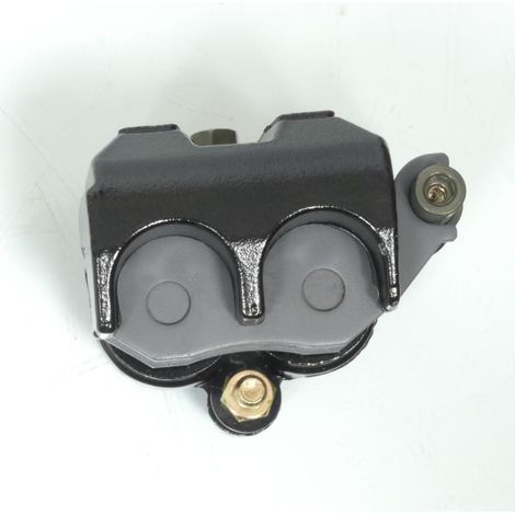 Bremssattel vorne p2r (motorisiert) für für neues Auto (1/4)