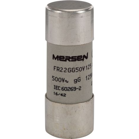 fusible cartouche - 22 x 58 - gg - 100a - sans indicateur - 500v - boite de 10 - mersen e218205