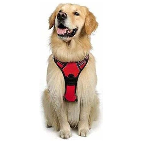 Harnais Chien L Arnais Rouge Anti Traction Réfléchissant Gilet Réglable pour Chien Grand Taille, Attache Devant Crochet de Laisse pour Randonnée Trajet Voiture, American Staff, Border Collie-Ensoleill