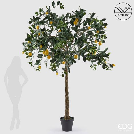 EDG Enzo De Gasperi Limone Anti-UV x31 con Vaso Pianta Artificiale H 270 Cm Verde Giallo (1/5)