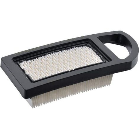 Filtre À Air - 184 X 79 X 38 Mm - Pour Moteurs Series 3 Powerbuilt Intek - 1 Pièce (1/3)