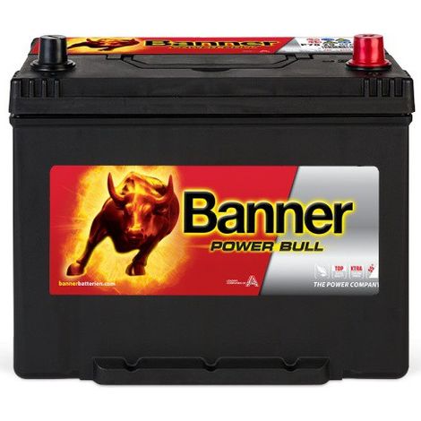 Banner Power Bull P7029 12v 70AH 600A