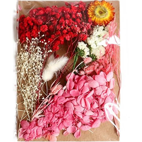 Fleurs Séchées Naturelles Rouges 60g - 1 Sachet pour Décoration Maison, Création DIY, Résine & Vasen, Longue Durée (1/5)