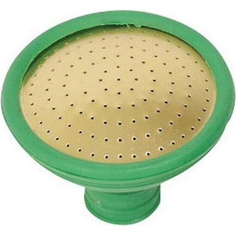 Fine as Rain Watering Can Rose - Green - Medium (1/2)