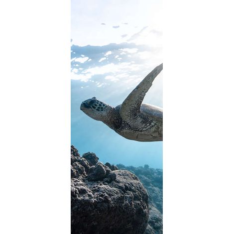 Panneau mural douche en alu-composite VIPANEL - Inspiration Nature Décor Tortue - Finition Brillant - 100x255cm (1/5)