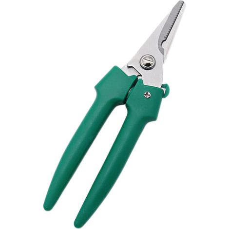Ciseaux de Jardin en Acier Inoxydable Verrouillage Professionnel et Ressort Outil de Jardinage Pratique pour Élaguer Branches et Cue (1/5)