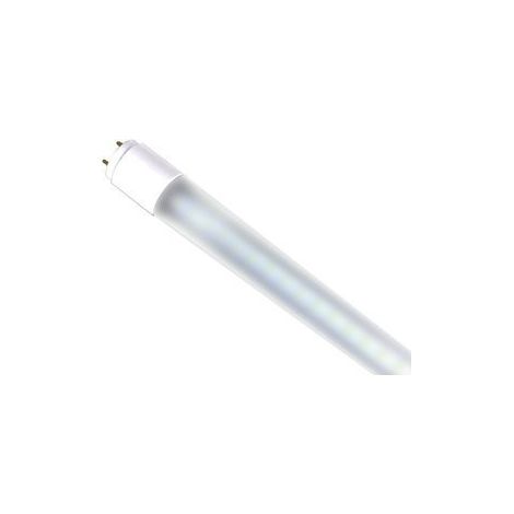 Tubo LED 600 mm 8 W 6000 K
