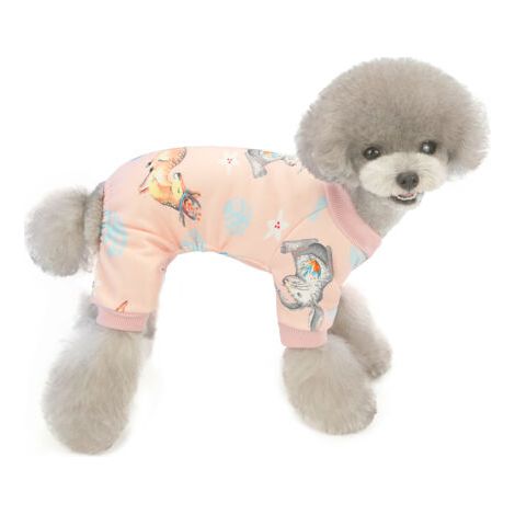 BUNTHAUS Vêtements pour animaux de compagnie Vêtements pour chiens d'automne et d'hiver Vêtements pour chiens(XL) (1/5)