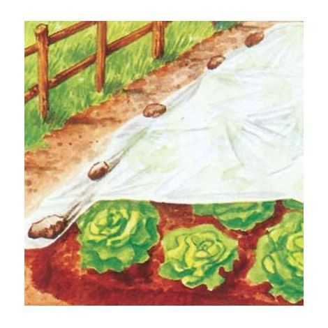 5,0 x BÂCHE ANTIGEL TNT PROTECTION PLANTES STARS