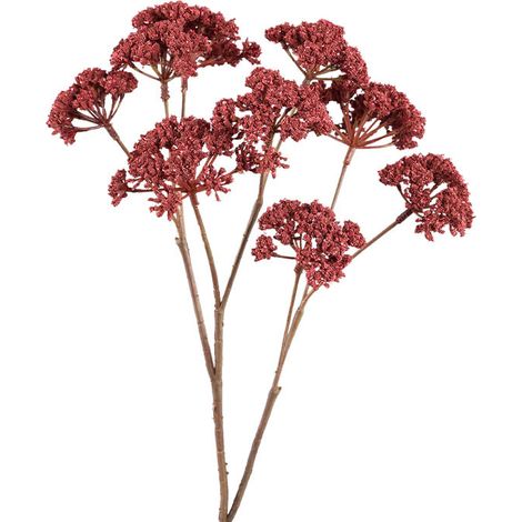 Tige Artificielle Fleur de Fenouil Bordeaux en Polyester 58cm (1/2)