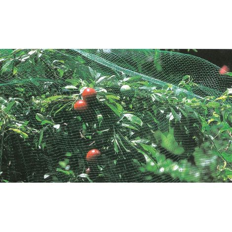 RETE DI PROTEZIONE ANTIUCCELLI H 2X10 M VERDE- 1,0 pz