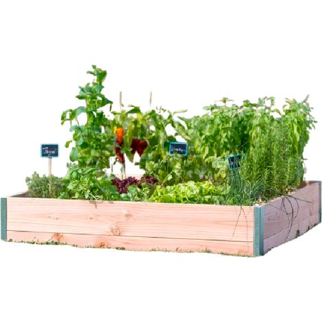 POTAGER RECTANGLE DESIGN L120 X l65 X H18CM EP19MM (1/3)