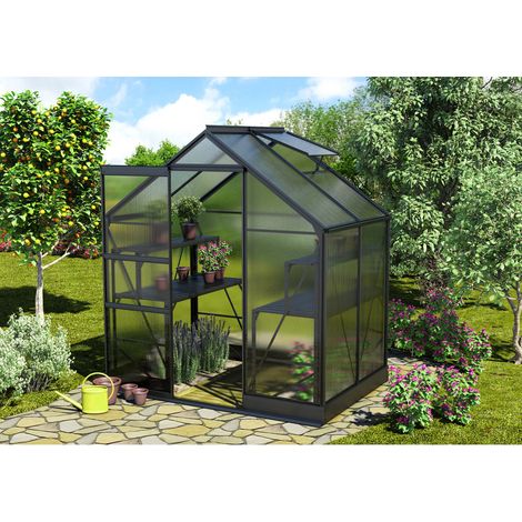 Vitavia Gewächshaus "Apollo 2500", schwarz, 2,5 m², 6 mm HKP