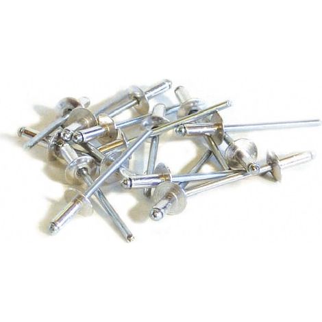 50 rivetti alluminio/acciaio a testa larga Ø 4,8 x 14 mm TECHMAN