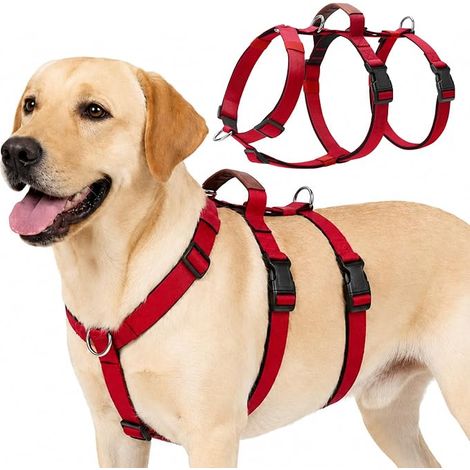 Harnais pour Chien, Harnais pour Chien Respirant Réglable avec Poignée et Attache Devant, Gilet pour Chiens (Rouge, XL) (1/5)