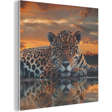 CUADRO ACÚSTICO Naturaleza - Leopardo - Animal - Atardecer - Moderno Cuadros Decoracion Salon Modernos 90x90 (1/5)