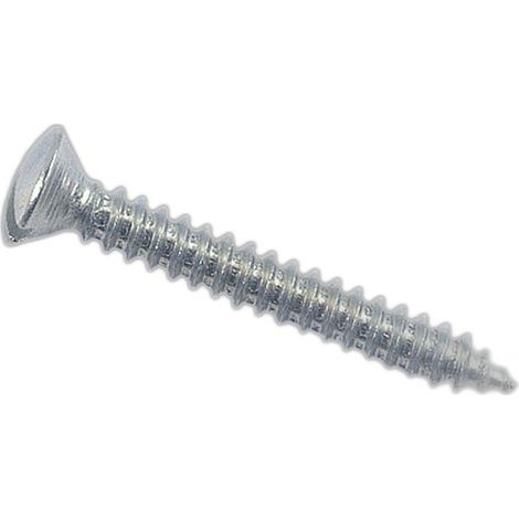 Vis à tôle tête fraisée bombée fendue Zingué - 5,5 x 50,8 mm - BIVI (1/2)