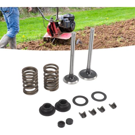 Pièces Détachées pour Moteur Diesel à Refroidissement par Air Générateur 186F Tiges de Soupape Ressorts et Écrous de Verrouillage-KZQ (1/2)