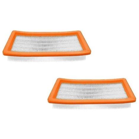 Confezione da 2 filtri HEPA per aspirapolvere a secco e a umido DS6000 DS5500 DS5600 DS5800