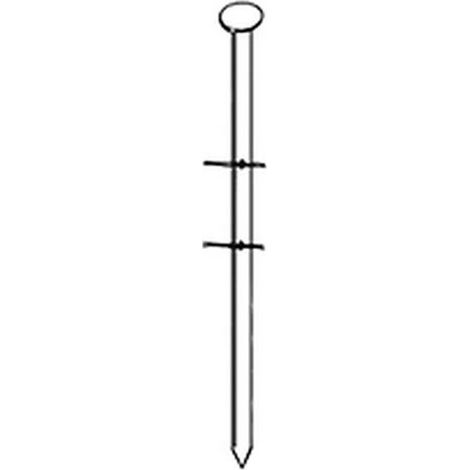 3 600 Pointes Lisses 16° (Coil) - 3.1x80 mm - D-Work (1/2)