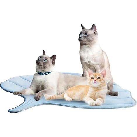 Tapis Rafraîchissant pour Chats - Lavable et Antidérapant pour Intérieur - (1/4)