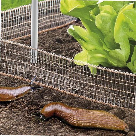 Taubenabwehrspitzen 1 ml – Schutz 15 bis 20 cm, 80 Spitzen/ml (1/5)