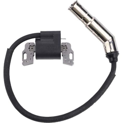 Bobine d'Allumage Magnéto Armature Compatible Moteur 592841 799650 595304 795315 21A807 21A877 (1/4)