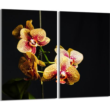 Placa protectora de vidrio para la estufa 2x30x52 Orchidea (1/5)