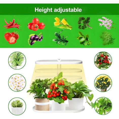 Lámpara LED de cultivo de 10 W con temporizador automático (2/4/8 horas), 4 niveles de brillo ajustables, altura regulable y espectro completo. Ideal para iluminar plantas de interior o de oficina. (1/2)