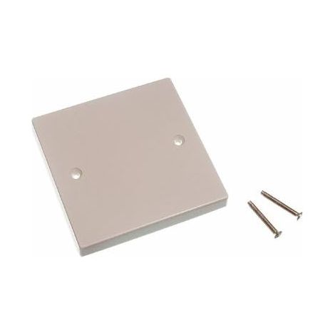 One Stop DIY Lot de 100 plaques de recouvrement pour prise électrique