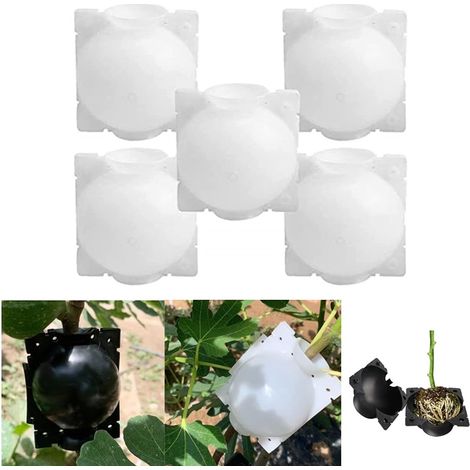 Lot de 5 boules de culture réutilisables haute pression pour le jardinage, le greffage et l'enracinement. (1/5)